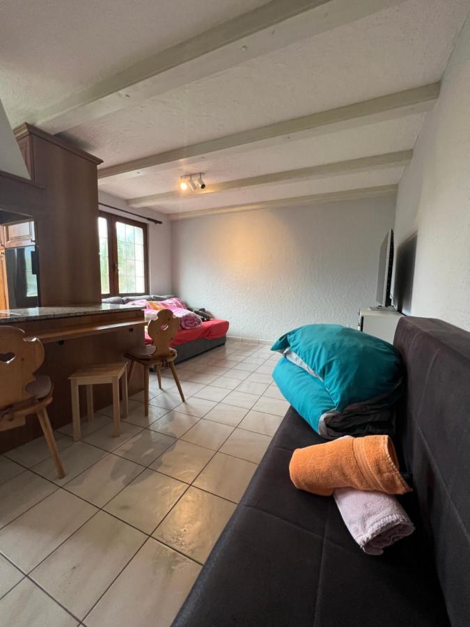Tiny Apartment With Amazing View, Garden & Terras Schattdorf ภายนอก รูปภาพ